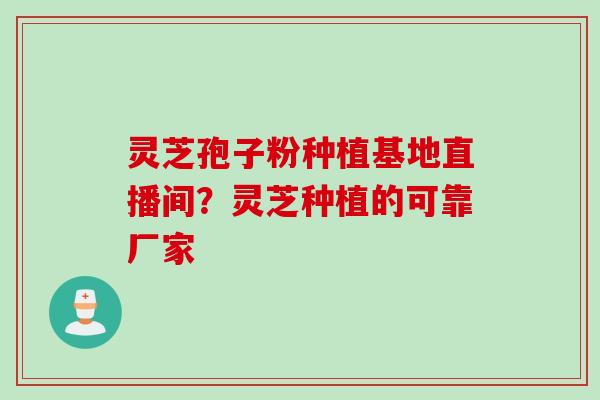 灵芝孢子粉种植基地直播间？灵芝种植的可靠厂家