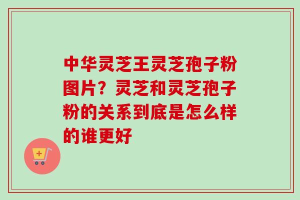 中华灵芝王灵芝孢子粉图片？灵芝和灵芝孢子粉的关系到底是怎么样的谁更好