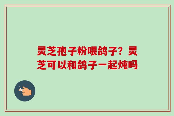 灵芝孢子粉喂鸽子？灵芝可以和鸽子一起炖吗