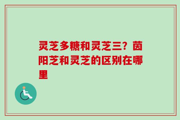 灵芝多糖和灵芝三？茵阳芝和灵芝的区别在哪里