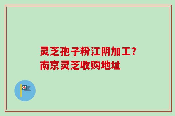 灵芝孢子粉江阴加工？南京灵芝收购地址