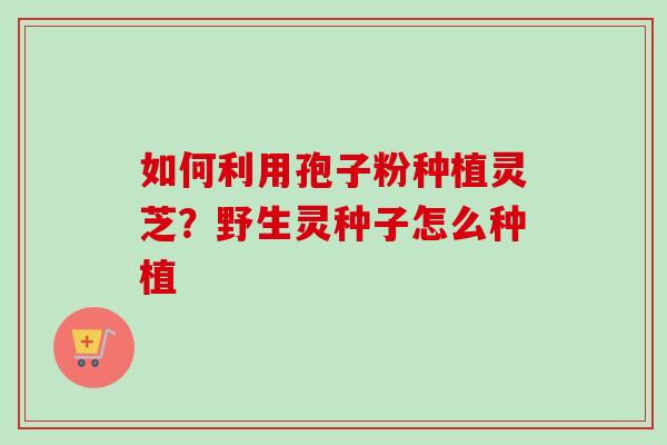 如何利用孢子粉种植灵芝？野生灵种子怎么种植