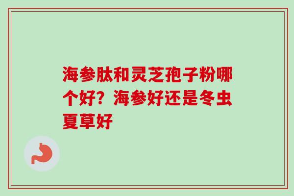 海参肽和灵芝孢子粉哪个好？海参好还是冬虫夏草好