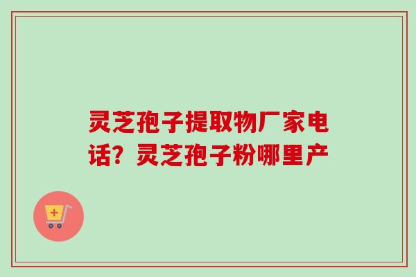 灵芝孢子提取物厂家电话？灵芝孢子粉哪里产