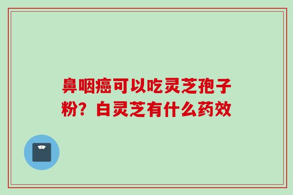 鼻咽癌可以吃灵芝孢子粉？白灵芝有什么药效
