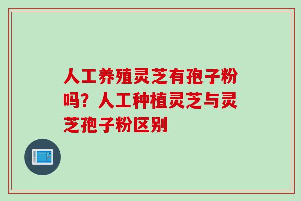 人工养殖灵芝有孢子粉吗？人工种植灵芝与灵芝孢子粉区别
