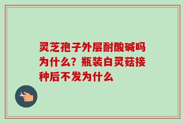 灵芝孢子外层耐酸碱吗为什么？瓶装白灵菇接种后不发为什么