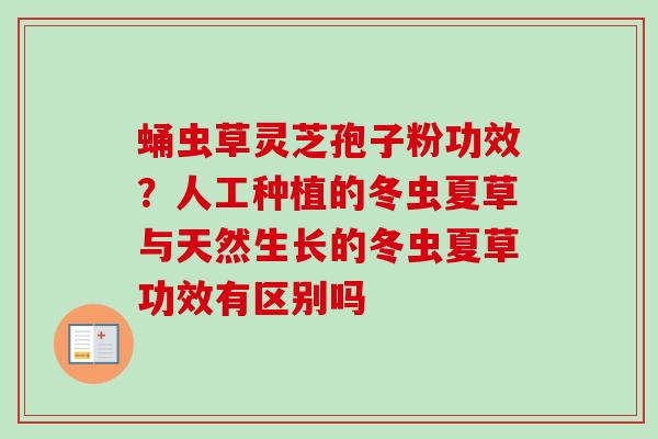 蛹虫草灵芝孢子粉功效？人工种植的冬虫夏草与天然生长的冬虫夏草功效有区别吗
