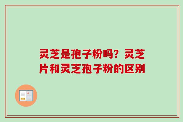 灵芝是孢子粉吗？灵芝片和灵芝孢子粉的区别