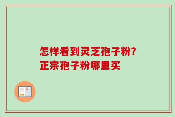 怎样看到灵芝孢子粉？正宗孢子粉哪里买