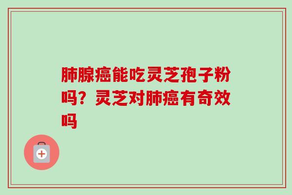 腺能吃灵芝孢子粉吗？灵芝对有奇效吗