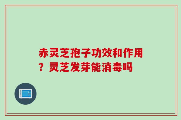 赤灵芝孢子功效和作用？灵芝发芽能消毒吗