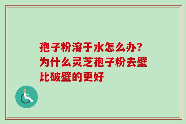 孢子粉溶于水怎么办？为什么灵芝孢子粉去壁比破壁的更好