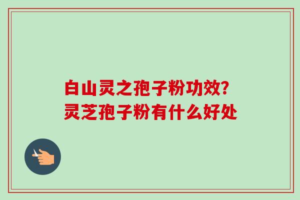 白山灵之孢子粉功效？灵芝孢子粉有什么好处