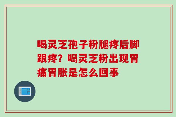 喝灵芝孢子粉腿疼后脚跟疼？喝灵芝粉出现胃痛胃胀是怎么回事