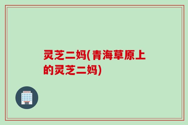灵芝二妈(青海草原上的灵芝二妈)
