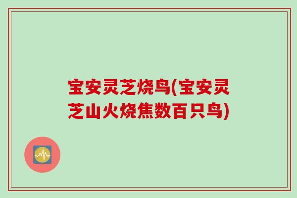 宝安灵芝烧鸟(宝安灵芝山火烧焦数百只鸟)