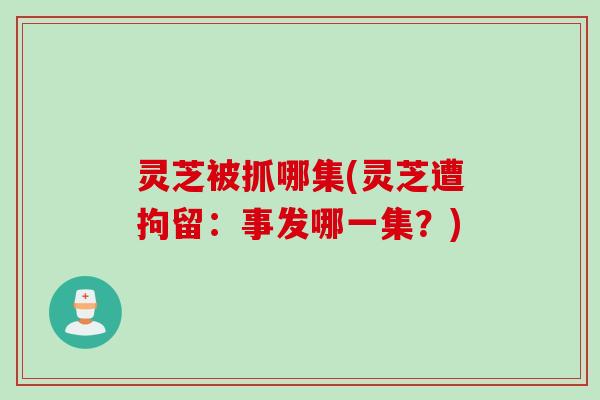 灵芝被抓哪集(灵芝遭拘留：事发哪一集？)