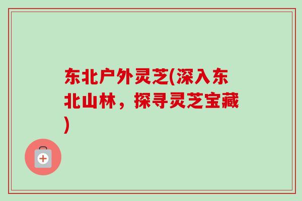 东北户外灵芝(深入东北山林，探寻灵芝宝藏)