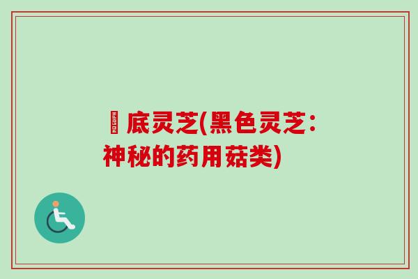 黒底灵芝(黑色灵芝：神秘的药用菇类)