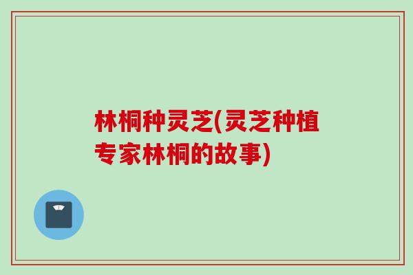 林桐种灵芝(灵芝种植专家林桐的故事)