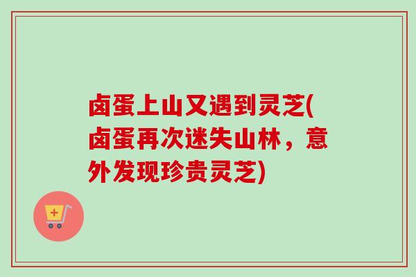 卤蛋上山又遇到灵芝(卤蛋再次迷失山林，意外发现珍贵灵芝)