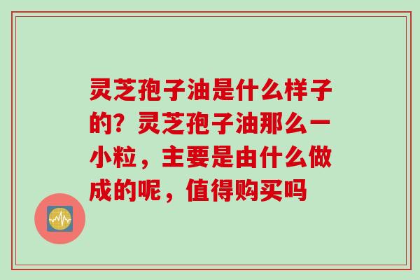 灵芝孢子油是什么样子的？灵芝孢子油那么一小粒，主要是由什么做成的呢，值得购买吗
