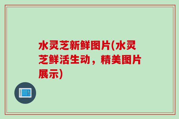 水灵芝新鲜图片(水灵芝鲜活生动，精美图片展示)