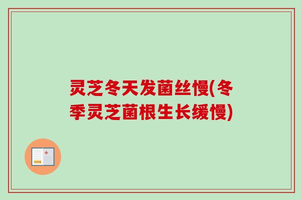 灵芝冬天发菌丝慢(冬季灵芝菌根生长缓慢)