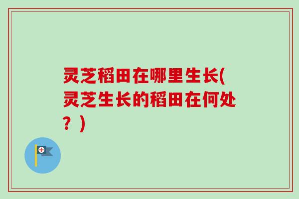 灵芝稻田在哪里生长(灵芝生长的稻田在何处？)
