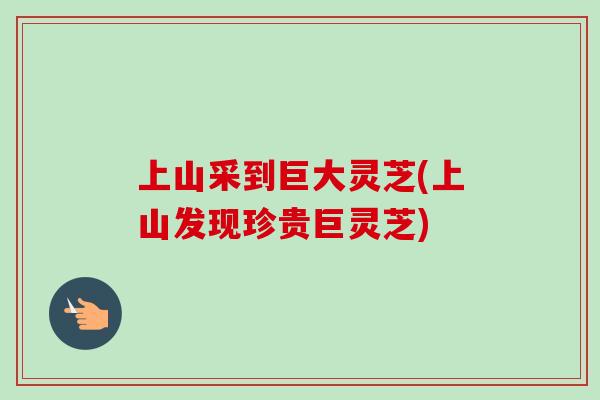 上山采到巨大灵芝(上山发现珍贵巨灵芝)