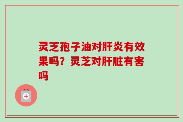 灵芝孢子油对肝炎有效果吗？灵芝对肝脏有害吗