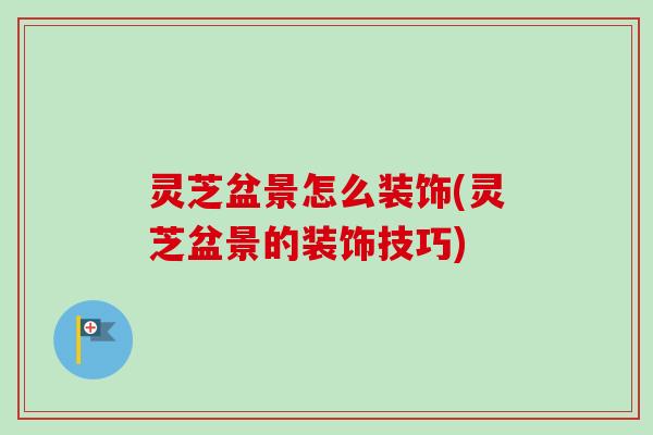 灵芝盆景怎么装饰(灵芝盆景的装饰技巧)