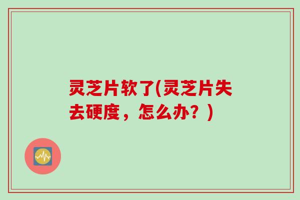 灵芝片软了(灵芝片失去硬度，怎么办？)