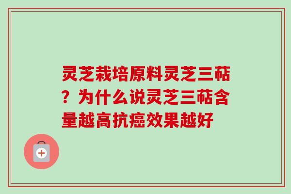 灵芝栽培原料灵芝三萜？为什么说灵芝三萜含量越高抗效果越好