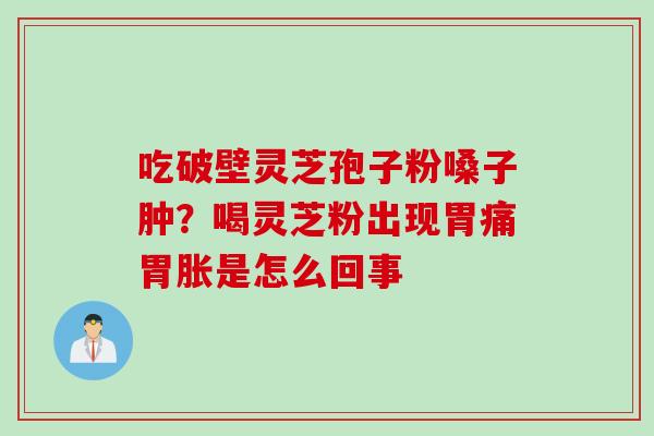 吃破壁灵芝孢子粉嗓子肿？喝灵芝粉出现胃痛胃胀是怎么回事