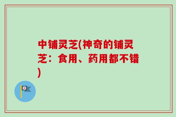 中铺灵芝(神奇的铺灵芝：食用、药用都不错)