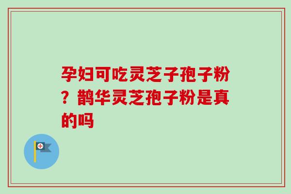 孕妇可吃灵芝子孢子粉？鹊华灵芝孢子粉是真的吗