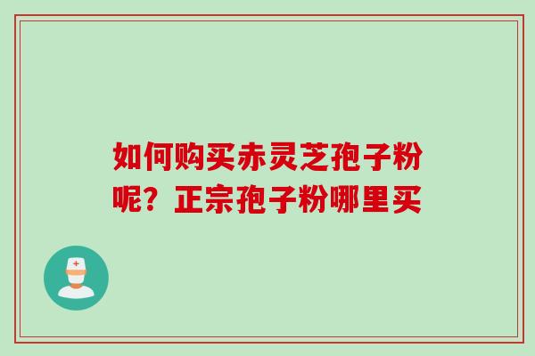 如何购买赤灵芝孢子粉呢？正宗孢子粉哪里买
