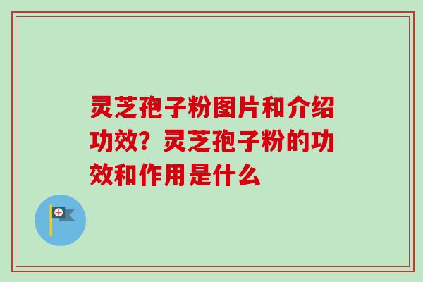 灵芝孢子粉图片和介绍功效？灵芝孢子粉的功效和作用是什么