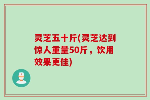 灵芝五十斤(灵芝达到惊人重量50斤，饮用效果更佳)