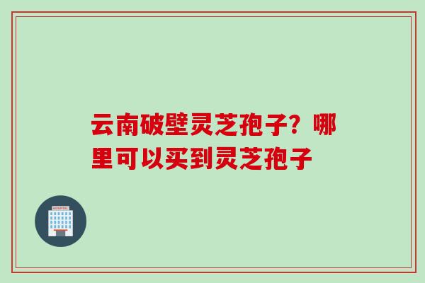 云南破壁灵芝孢子？哪里可以买到灵芝孢子
