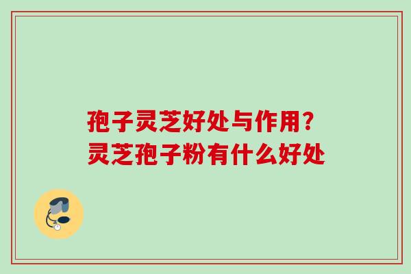 孢子灵芝好处与作用？灵芝孢子粉有什么好处