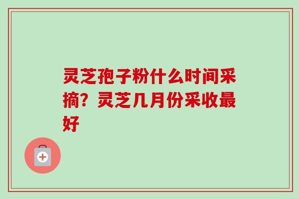 灵芝孢子粉什么时间采摘？灵芝几月份采收最好