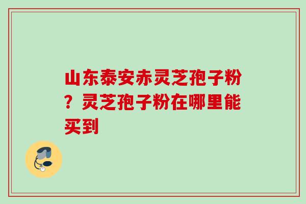 山东泰安赤灵芝孢子粉？灵芝孢子粉在哪里能买到