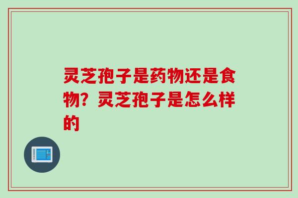 灵芝孢子是还是食物？灵芝孢子是怎么样的