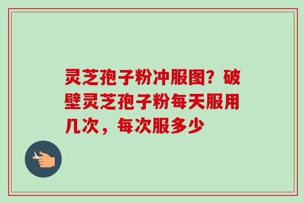灵芝孢子粉冲服图？破壁灵芝孢子粉每天服用几次，每次服多少