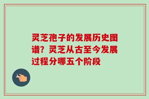 灵芝孢子的发展历史图谱？灵芝从古至今发展过程分哪五个阶段