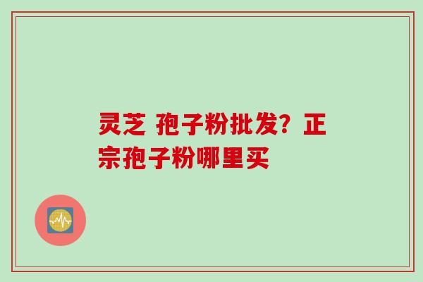 灵芝 孢子粉批发?正宗孢子粉哪里买 灵芝 孢子粉批发?正宗孢子粉哪里买