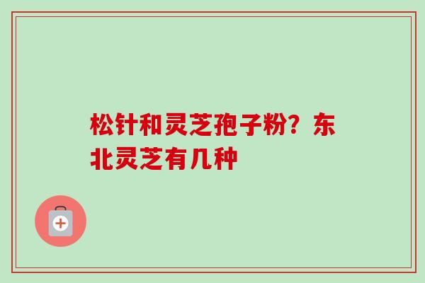 松针和灵芝孢子粉？东北灵芝有几种